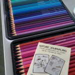 NABU-Treff „Nature Journaling zum Thema Wildgänse“