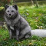 Fördermitgliederfest im Tiergarten Kleve
