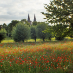 Thementour: Urban & Natur – geführte Radtour Kalkar – Xanten