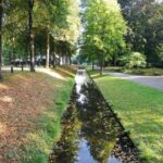 Themenführung: Der Forstgarten im Herbst