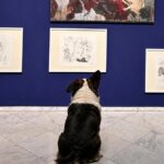 Führung “Hund trifft Kunst” im Museum Schloss Moyland