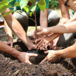 eine für alle, alle für eine: unsere Landesgartenschau und eure Chance, dabei zu sein