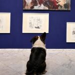 Führung: Hund trifft Kunst