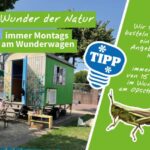Wunderwagen-Abschluss Event