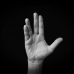 Mit Warp 6 in die Utopie? "Star Trek" wird 60 Jahre alt