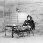 Öffentliche Kuratorenführung: Katharina Sieverding & Joseph Beuys